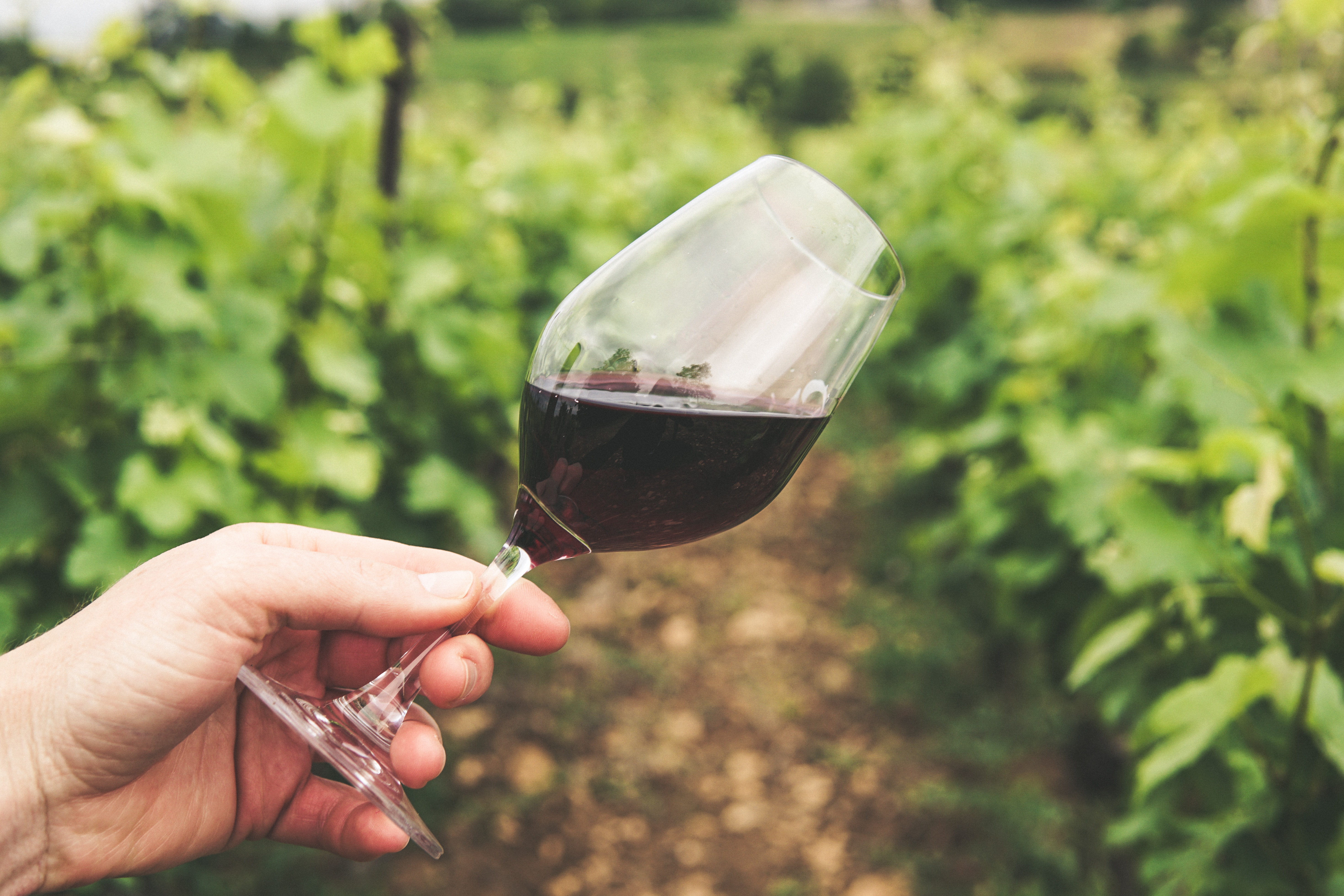 Person holding a glass of red wine at a farm. Only the person's hand is shown.